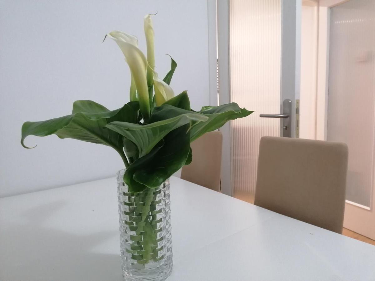 Apartamento Bolboreta Comarca de Comarca de Pontevedra Buitenkant foto