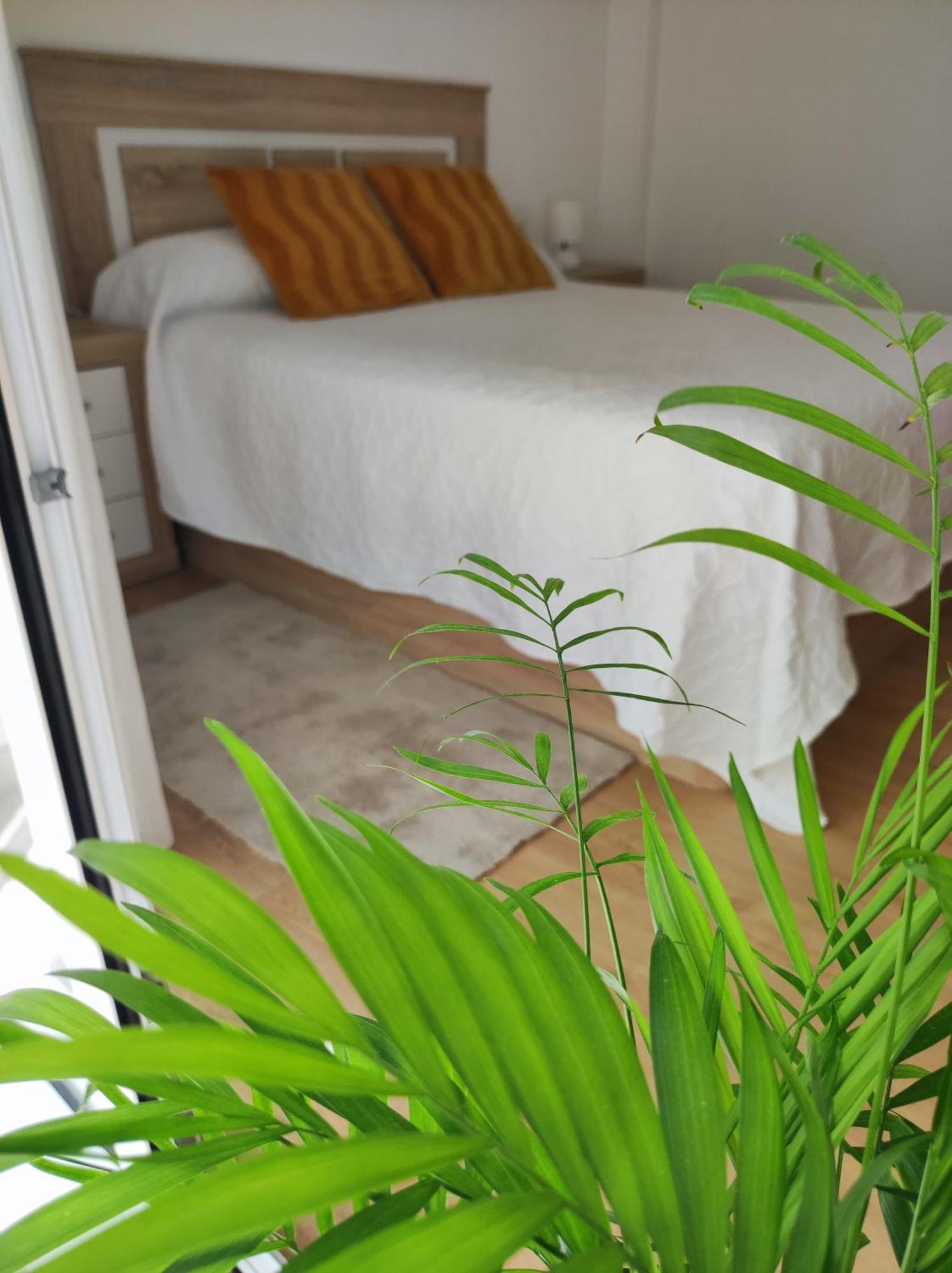 Apartamento Bolboreta Comarca de Comarca de Pontevedra Buitenkant foto